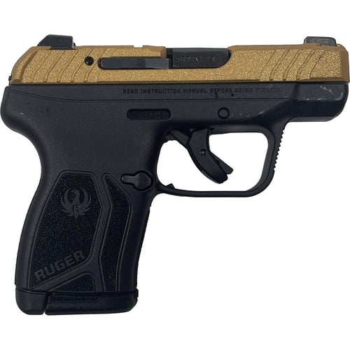 Ruger LCP 380 Max Exclusive 