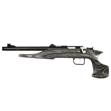Chipmunk 41003 Hunter Single Shot Pistol .22 WMR 10.5