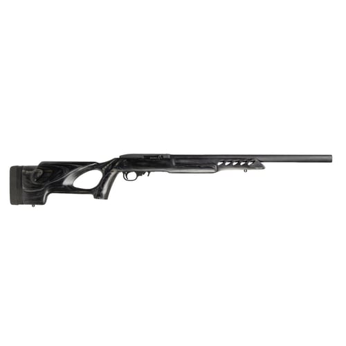 RUG 10/22 TGT LTE 22LR GRAY DE