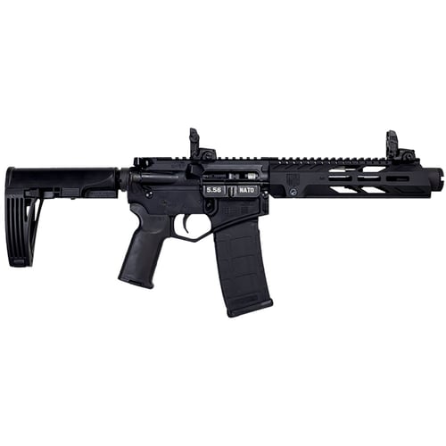 DBF DB15 DIA 223 PST 7B 30 SGT | .223 REM 5.56x45mm NATO | 810035751279