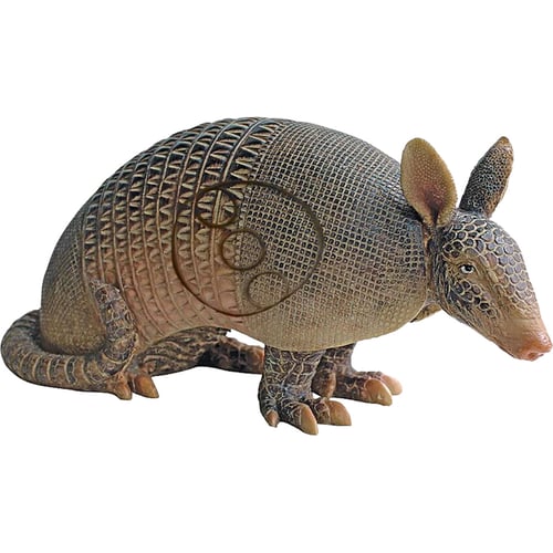 Real Wild Armadillo Target  <br>