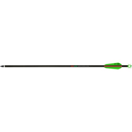 TenPoint Pro-V 22 Alpha-Brite Lighted Arrows  <br>  22 in. Green 3 pk.