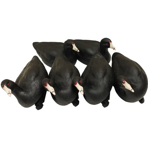 MOJO Coot Confidence Decoys