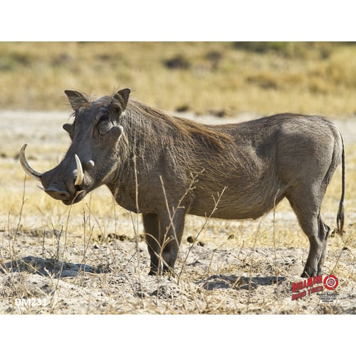 DuraMesh Archery Target  <br>  Warthog 25 in. x 32 in.