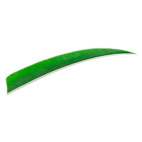 Trueflight Shield Cut Feathers  <br>  Green 5 in. LW 100 pk.