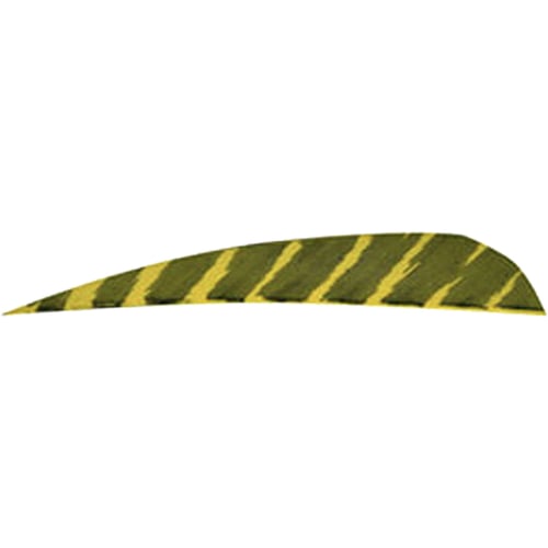 Gateway Barred Feathers  <br>  Yellow 4 in. RW 50 pk.