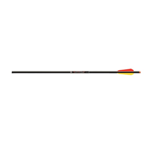 Easton Bloodline Bolts  <br>  Flat Nock 22 in. BTV Vane 6 pk