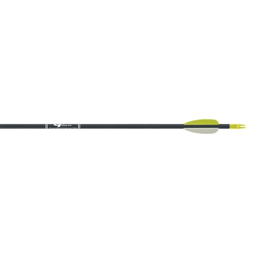 Gold Tip Fiberglass Arrows  <br>  Black 2.5 in. Vanes 6 pk.