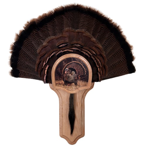 Walnut Hollow Deluxe Turkey Display Kit  <br>  Oak