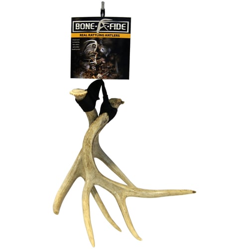 Bone-A-Fide Rattling Antler  <br>  Real Antler Light