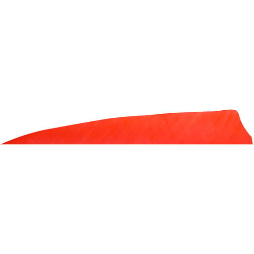 Gateway Shield Cut Feathers  <br>  Red 4 in. RW 100 Pk.