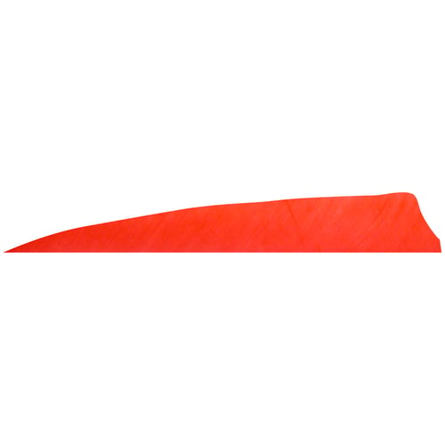 Gateway Shield Cut Feathers  <br>  Rose Red 5 in. RW 100 Pk.