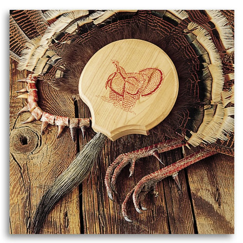 Quaker Boy Turkey Fan Mount  <br>