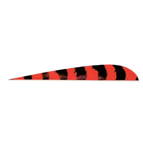 Trueflight Parabolic Feathers  <br>  Barred Red 5 in. LW 100 pk.