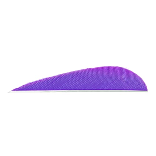 Trueflight Parabolic Feathers  <br>  Purple 3 in. LW 100 pk.