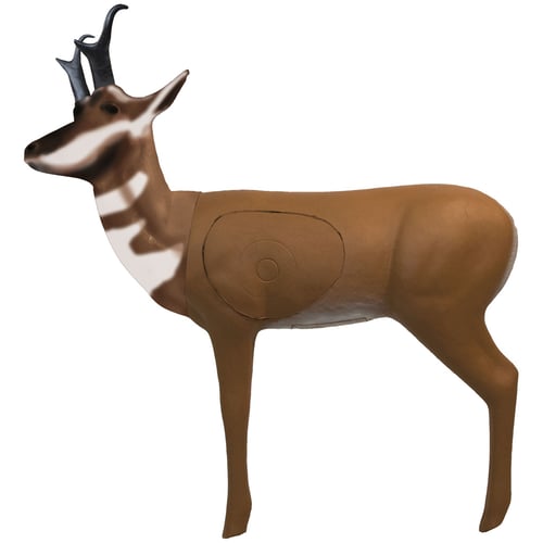 Real Wild Pronghorn Antelope Target  <br>