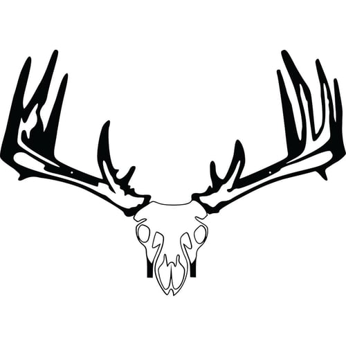 Raxx Crossbow Hanger  <br>  Whitetail Skull