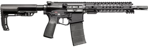 RENEGADE DI SBR 556 10.5 Inch BLK | .223 REM 5.56x45mm NATO | 847313009685