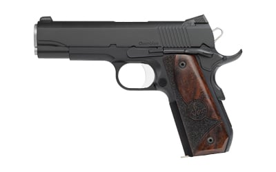 Dan Wesson 01828 Guardian  9mm Luger 9+1 4.25