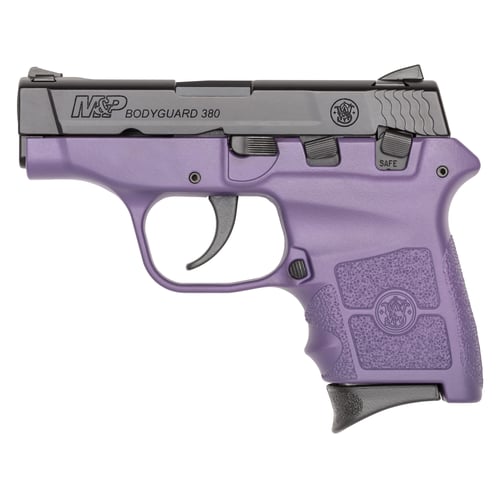 S&W BDYGRD 380ACP 6RD 2.75 NL PRP/BK