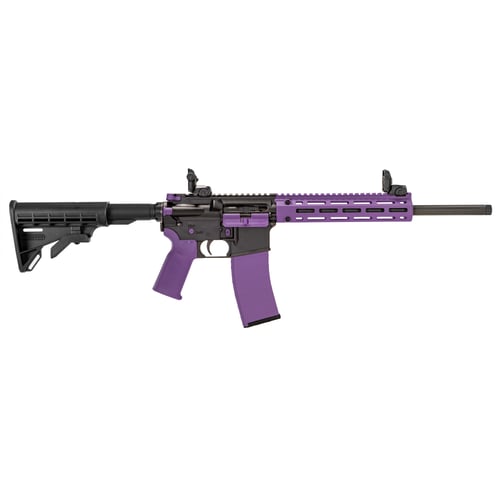 TIPPMANN M422 ACCENT 22LR 25RD PRP | 850050173366