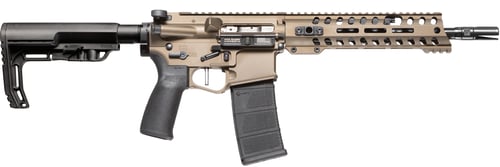 RENEGADE DI SBR 556 10.5 Inch BRZ  | .223 REM 5.56x45mm NATO | 847313010315