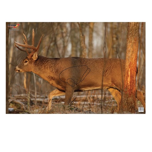 Birchwood Casey 37481 EZE-Scorer  Whitetail Deer Paper Hanging 23