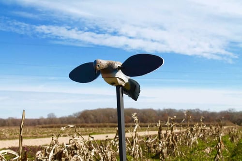 MOJO Elite Series Spinning Wing Decoy Dove | 816740004105