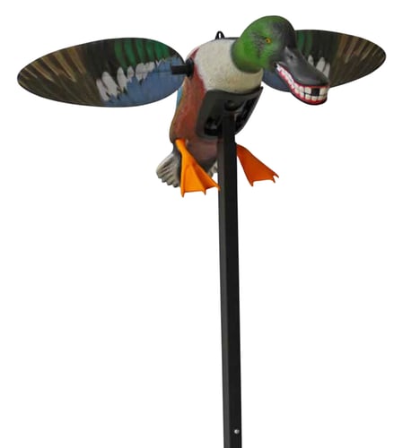 Mojo Outdoors HW2490 Elite Series Spoonzilla Duck Species Multi Color Molded Plastic