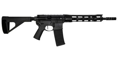 Rise Armament WM223BLK115P Watchman  223 Wylde 11.50