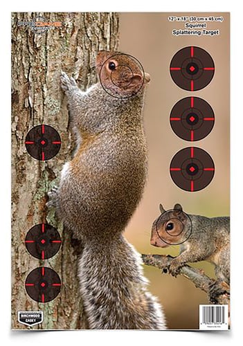 Birchwood Casey 35406 Pregame  Squirrel Paper Hanging Rifle 12