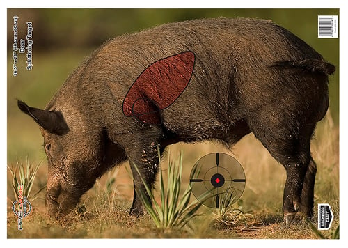 Birchwood Casey 35408 Pregame  Boar Paper Target 16.50