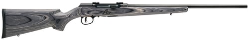 Savage Arms 47801 A17 Sporter Semi-Auto 17 WSM Caliber with 8+1 Capacity, 22