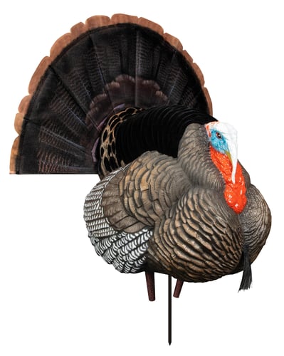 Higdon Outdoors Apex Strutter Hard Body Turkey