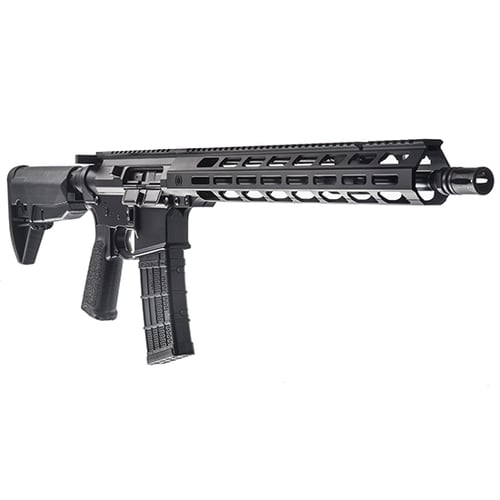 Primary Weapons 19PM116RA1B MK116 Pro 223 Wylde 16.10