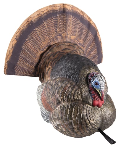 Avian-X LCD Strutter Turkey Decoy