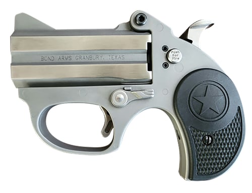 Bond Arms BASRS Stinger  380 ACP 2rd 2.5
