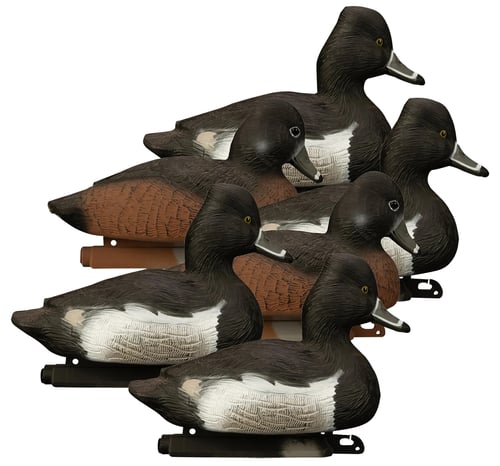 Higdon Outdoors 19483 Standard  Ringneck Species Multi Color Foam Filled 6 Pack