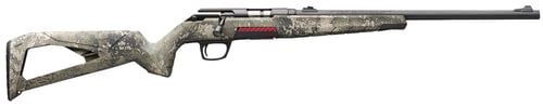 WINCHESTER XPERT BR 17WSM 18