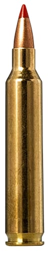 Norma TipStrike Varmint Rifle Ammunition .204 Ruger 40gr PT 3215 fps 20/ct | 7393923316529