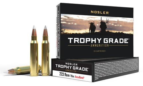 NOSLER TG 223REM 70GR AB 20/200