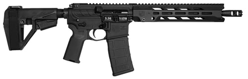 Diamondback DB1984K001  Obsidian 5.56 NATO 30+1 11.50