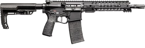 RENEGADE SBR 300BLK 10.5 Inch BLK  | .300 BLK | 847313014405