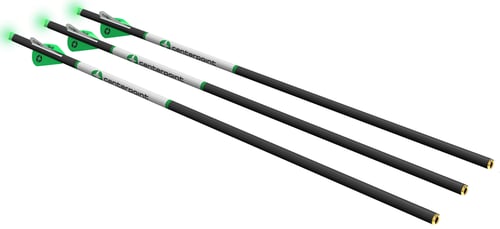 Ravin Crossbows C1013 Crossbow Arrows 400 Grain 20 Inch 3 Pack | 810153420071