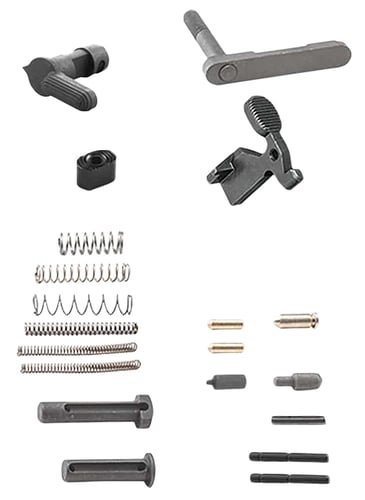 White Label Armory WLABCG301201 Bolt Carrier Group Rehab Kit | 810155160630
