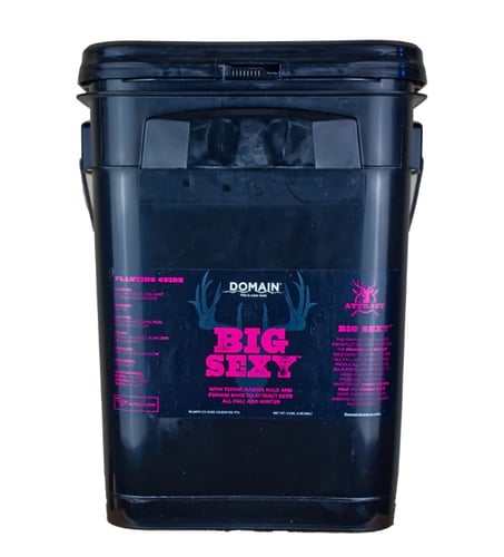 DOMAIN BSFP34      BIG SEXY | 850033777000