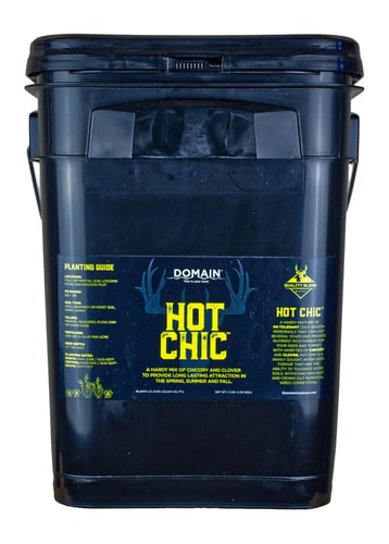 Domain Hot Chic Seed | 850033777017