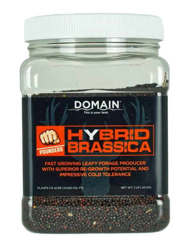 Domain Hybrid Brassica Pounder Seed | 850033777314