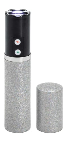 SEC S-1016-SL   STUN GUN FASHIONABLE SILVER | 023063808888