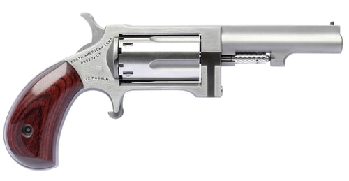 NAA Sidewinder Revolver